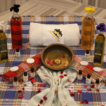 Kazdagi Atila Bey Konagi Hotel Ayvacik (Canakkale)