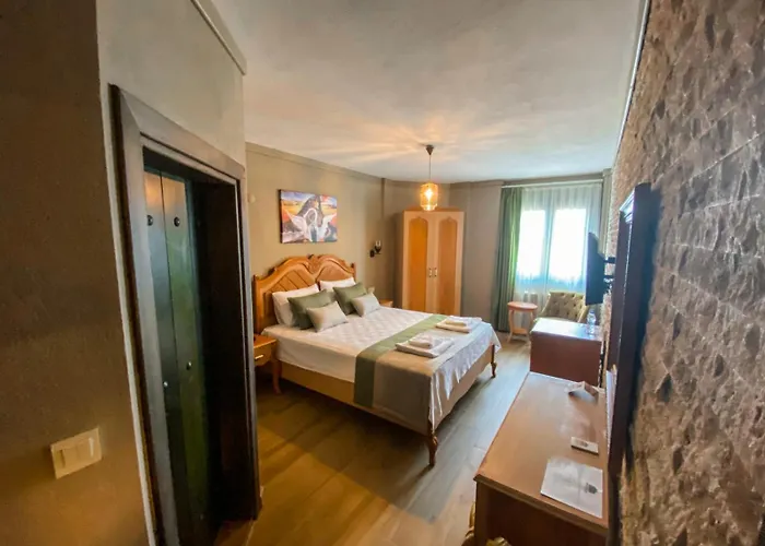 Kazdagi Atila Bey Konagi Ayvacik (Canakkale)