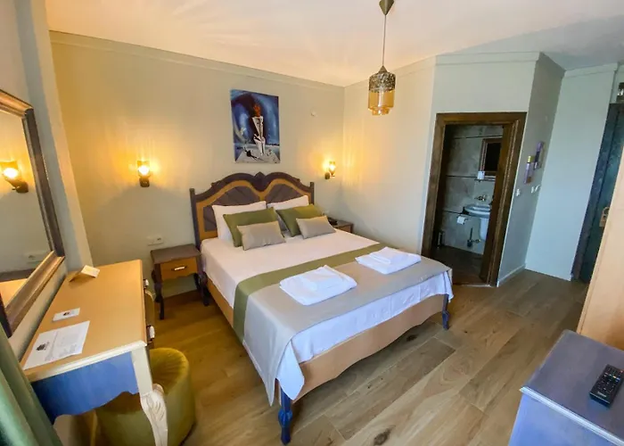 호텔 Kazdagi Atila Bey Konagi *