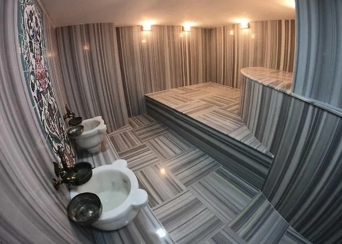 Kazdagi Atila Bey Konagi 호텔 *