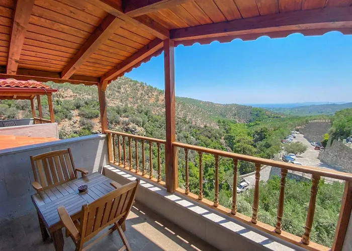 Kazdagi Atila Bey Konagi Ayvacik (Canakkale)